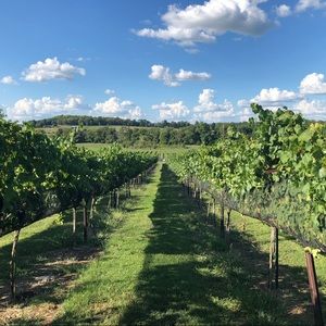 Meet your Posher, Liana